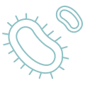 Eliminating-Pathogenic-Cells