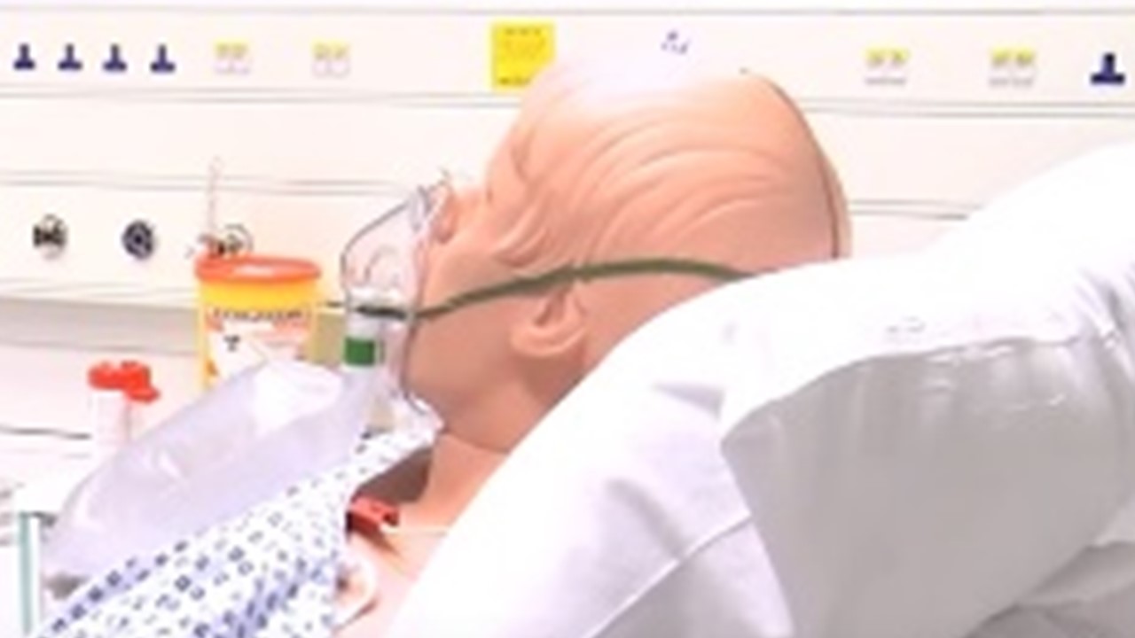 Simulation mannequin