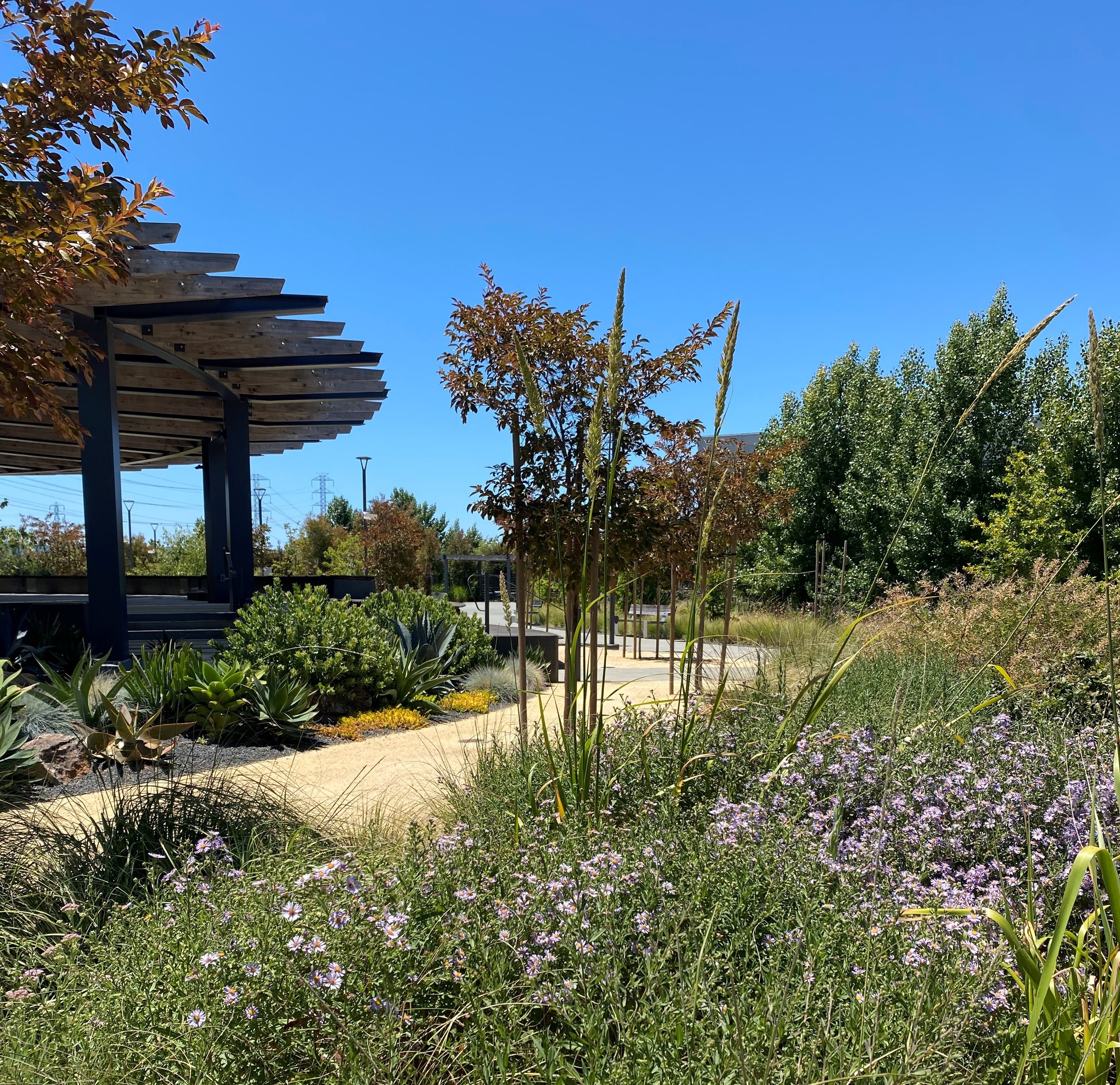 Gilead_Park_2024