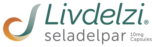 Livdelzi Logo