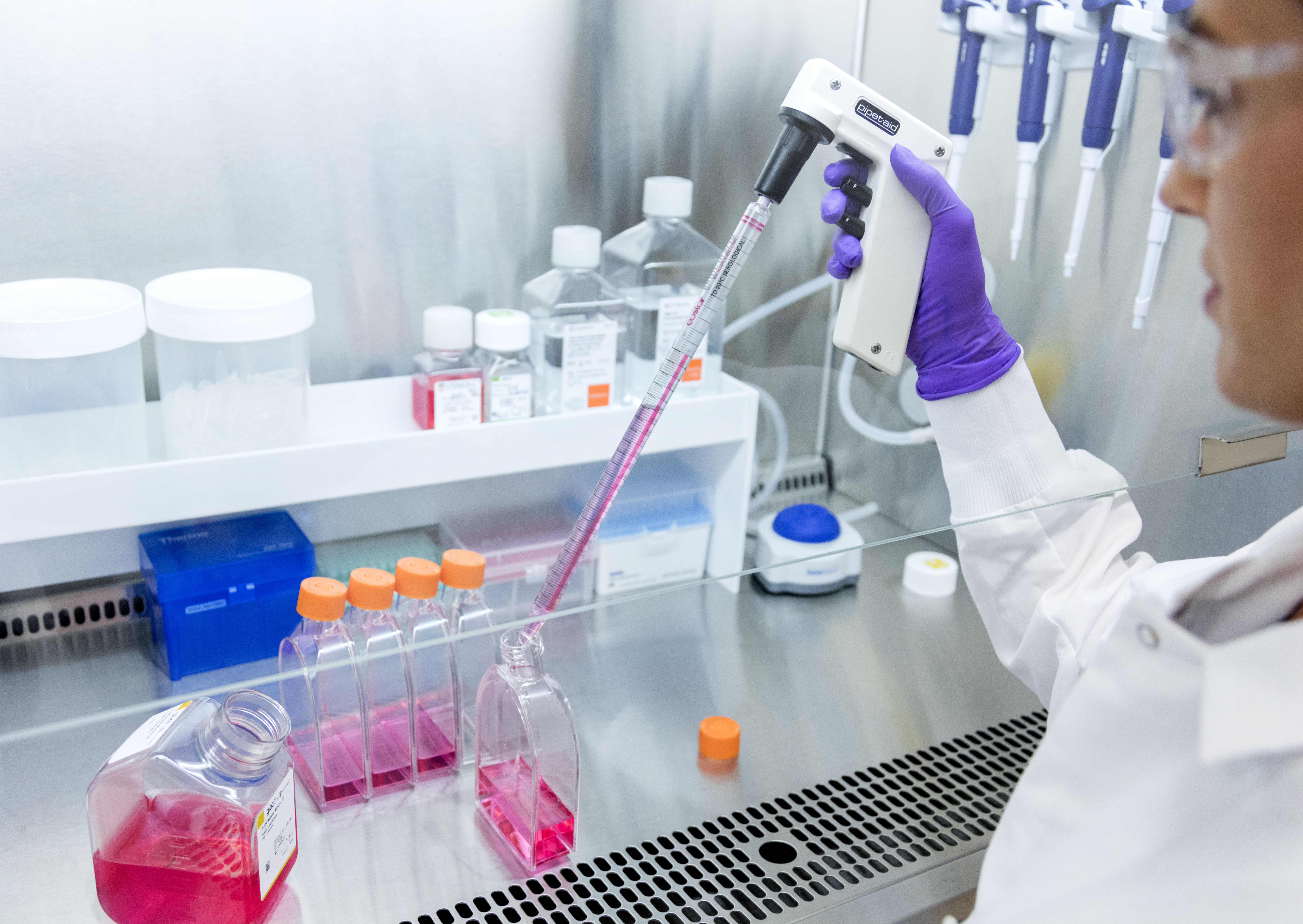gilead_kite_cu_detail_labs_n8a3611_CA.jpg
